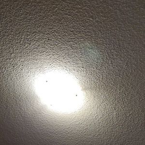 Meet your Posher, Tyrone